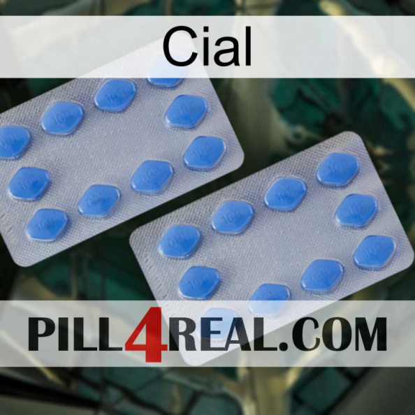 Cial 20